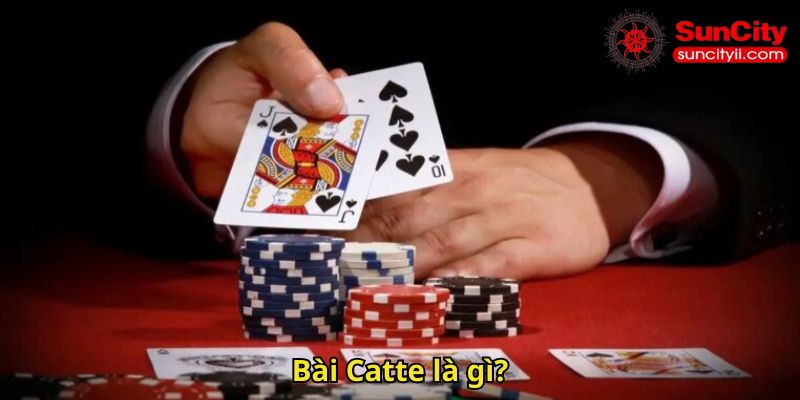 Bài Catte là gì