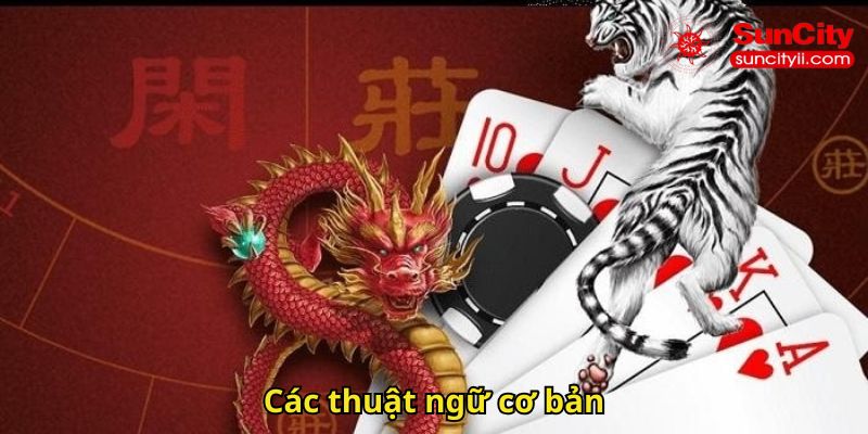 Các thuật ngữ cơ bản