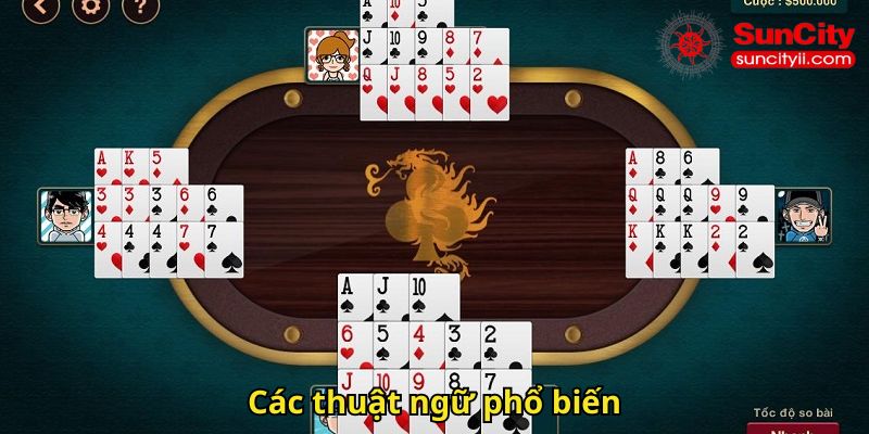 Các thuật ngữ phổ biến