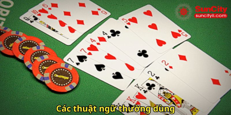 Các thuật ngữ thường dùng
