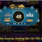 Cách Chơi Tài Xỉu Suncity Hướng Dẫn Chi Tiết Cho Người Mới