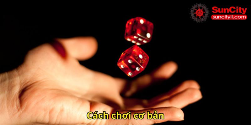 Cách chơi cơ bản