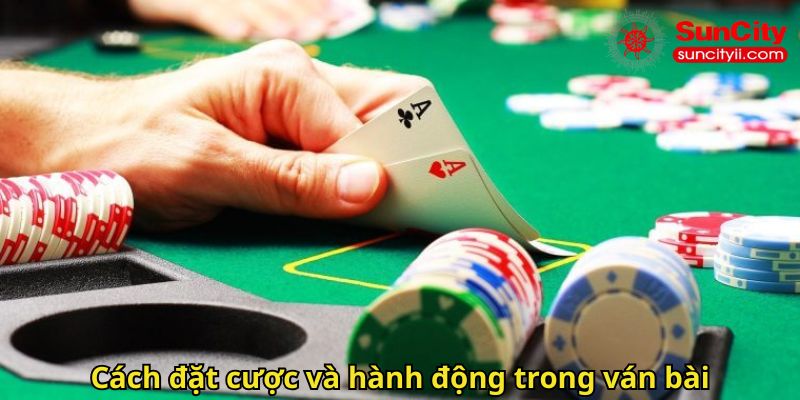Cách đặt cược và hành động trong ván bài