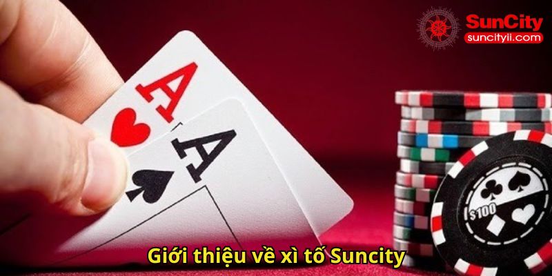 Giới thiệu về xì tố Suncity