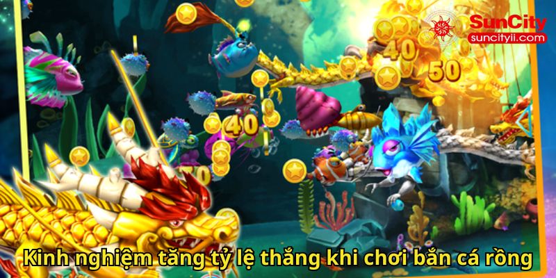 Kinh nghiệm tăng tỷ lệ thắng khi chơi bắn cá rồng