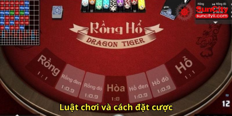 Luật chơi và cách đặt cược