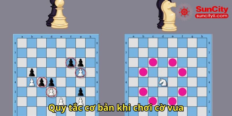 Quy tắc cơ bản khi chơi cờ vua
